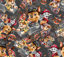 Charger l'image dans la galerie, Précommande: La pat patrouille en action