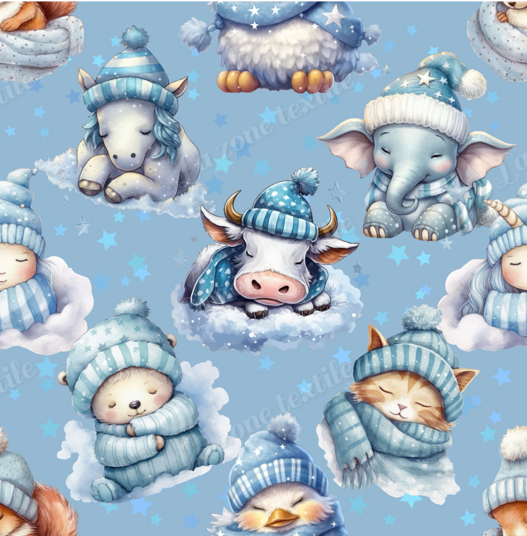 Précommande: Bonne nuit
