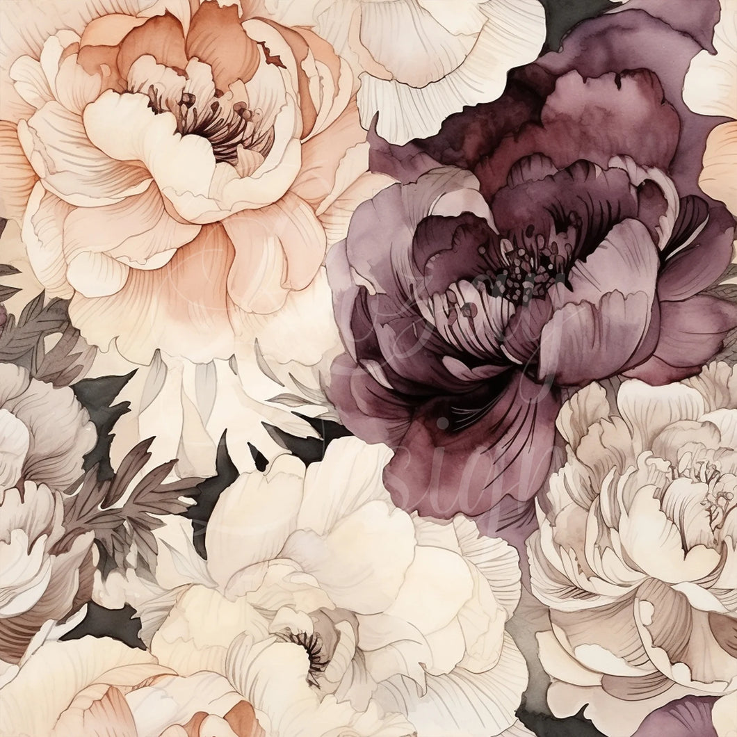 Précommande: Crème et pivoine