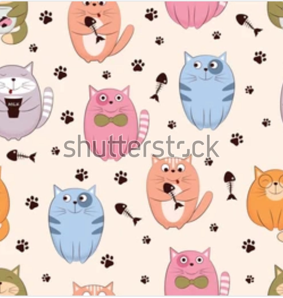 Précommande: Gros chat