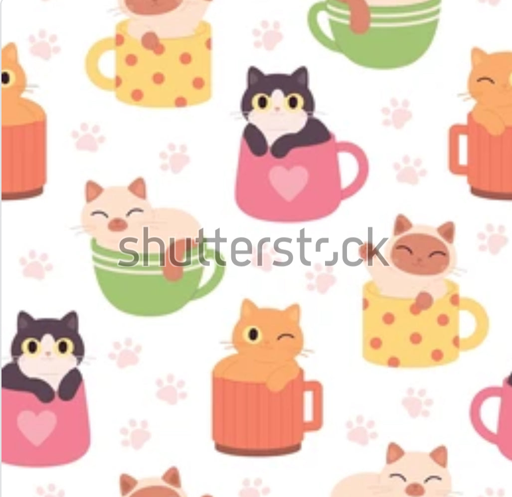 Précommande: Chaton café