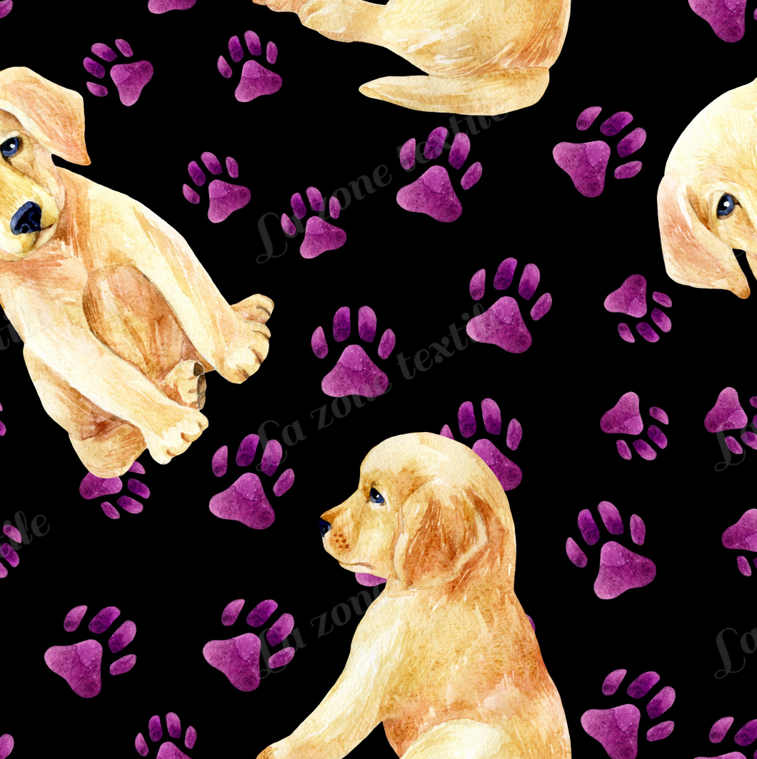 Précommande: Golden Retriever