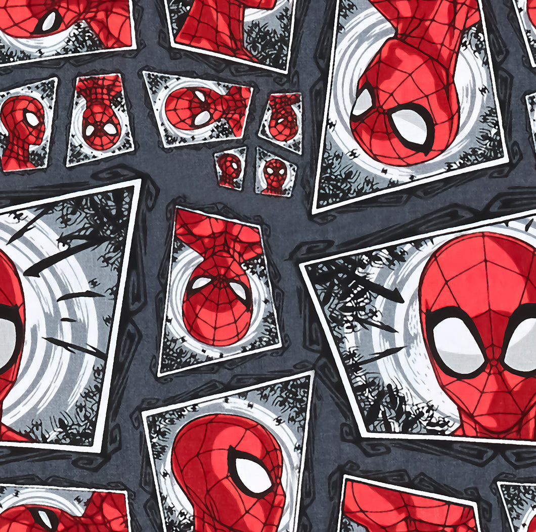 Précommande: Spiderman animé