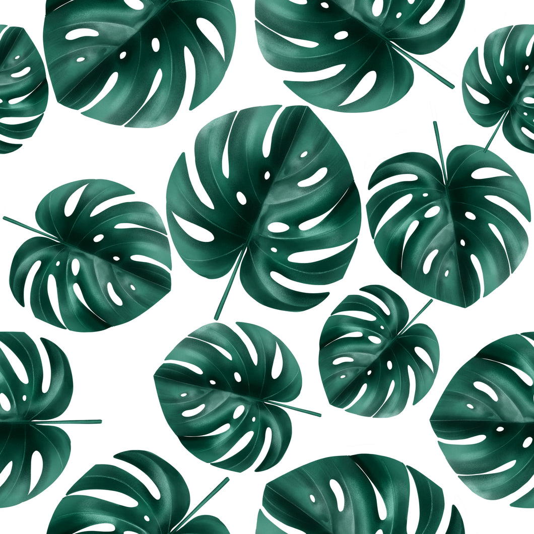 Précommande: Feuilles monstera