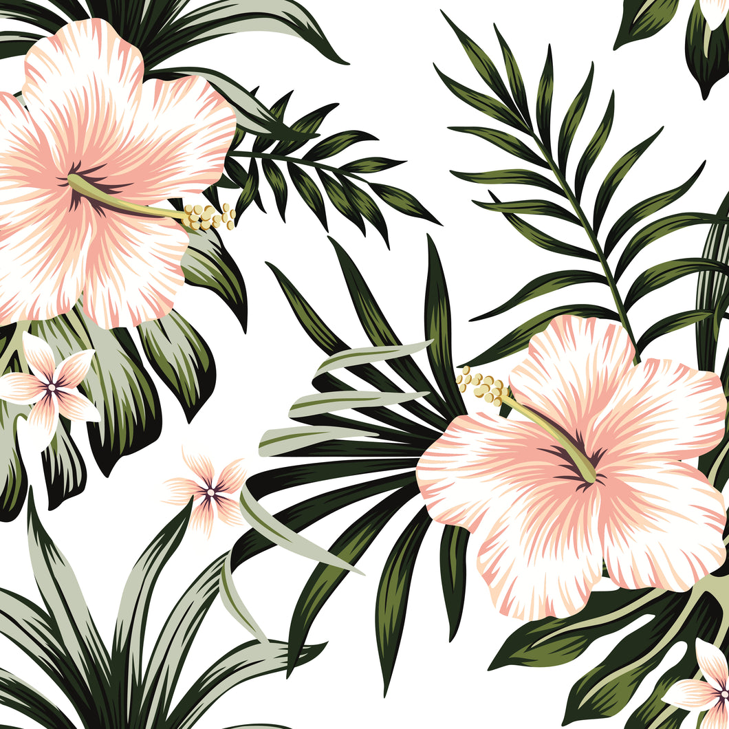 Précommande: Hibiscus